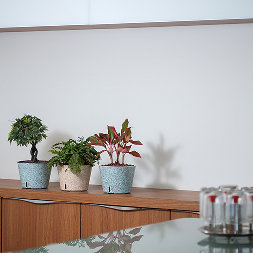 Black Structure Cube Painted Series Pot