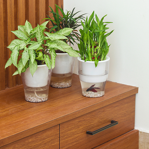 Clear Series Acrylonitrile Butadiene Styrene Pot - Abs Plastic, 6"x5", Glossy Finish, Available In Green, Grey, Sea Green, White, Yellow, Pink, Red, Black | Self-watering, Easy To Paint And Clean, Ideal For Vertical And Balcony Gardening