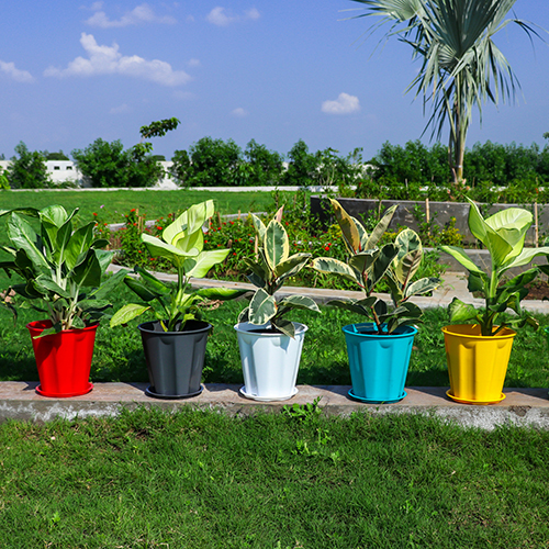 Green N Pots Series Pot