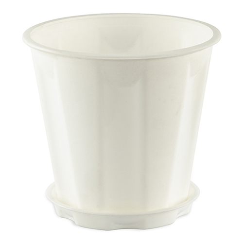 Green N Pots Series Pot