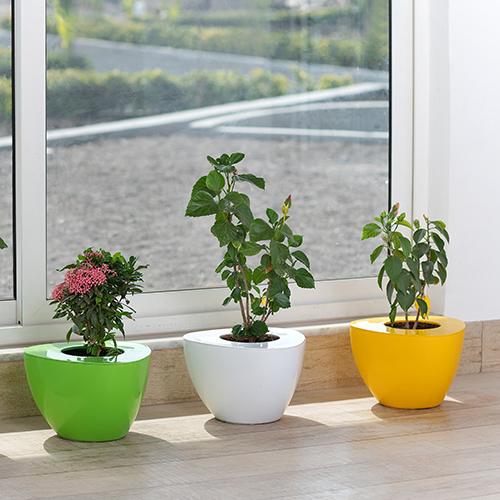 Black Triangle Series Pot