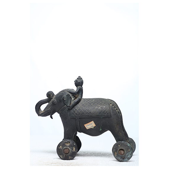 Traiable Elephant