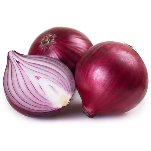 Fresh Onion Moisture (%): 98 -100%