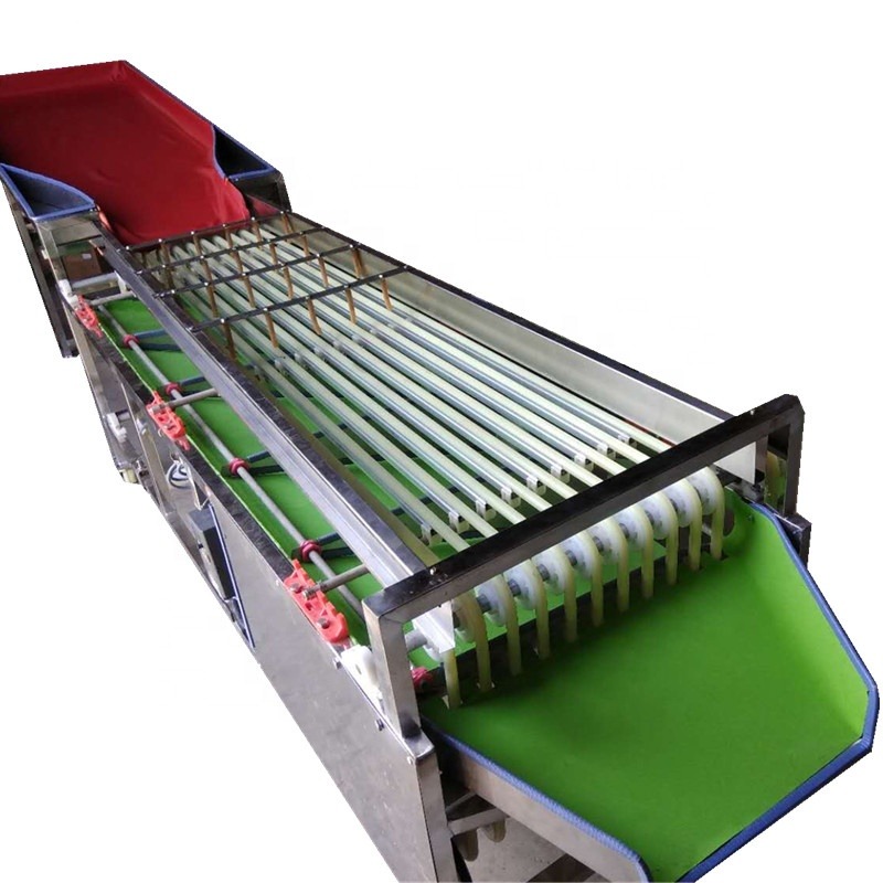 Automatic Fruit Jujube Sorting Grading Machine