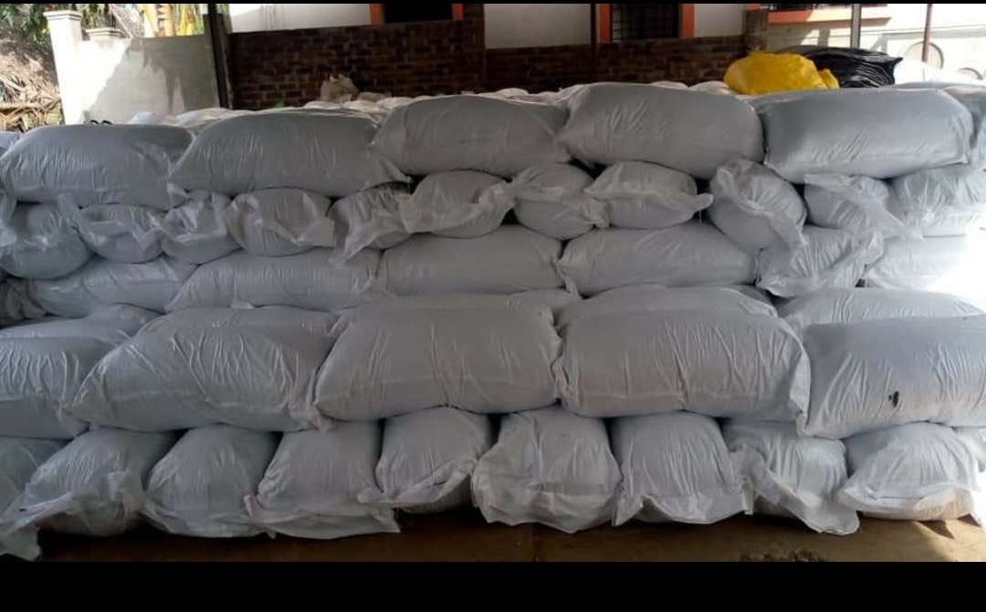 Maize Silage Efficacy: Promote Healthy