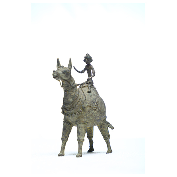 Traiable Horse