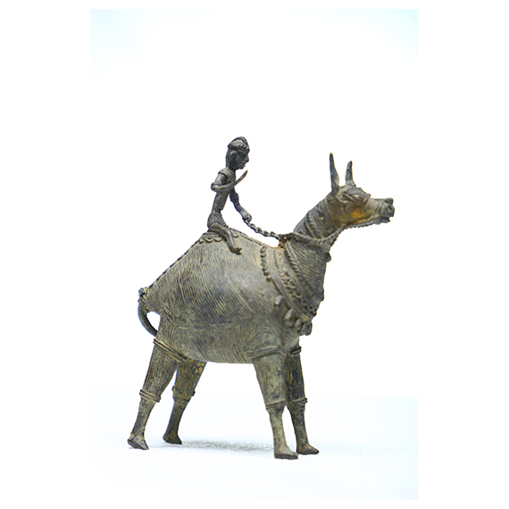 Traiable Horse