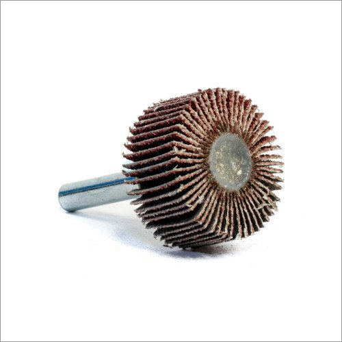 स्पिंडल फ्लैप मोप्स