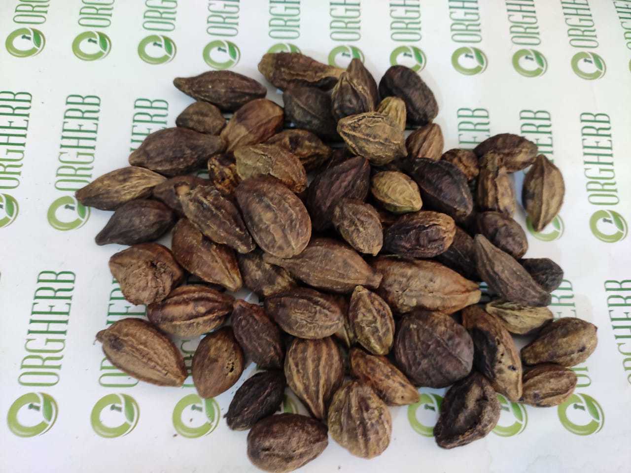 Terminalia Chebula - Dried Herb , Age Group: Suitable For All, Dosage: As Per Advice, Storage: Dry Place, Ingredients: Haritaki Fruit