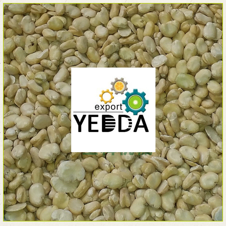 Automatic Broad Bean Peeling Machine Peanut Soybean Peeling Machine
