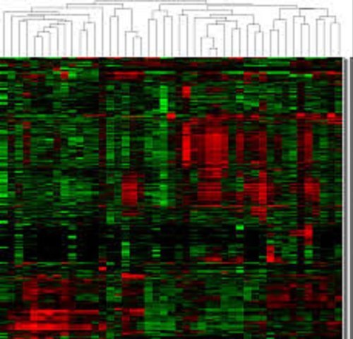 Bacterial Transcriptome Sequencing
