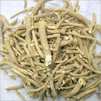 सर्पगंधा जड़