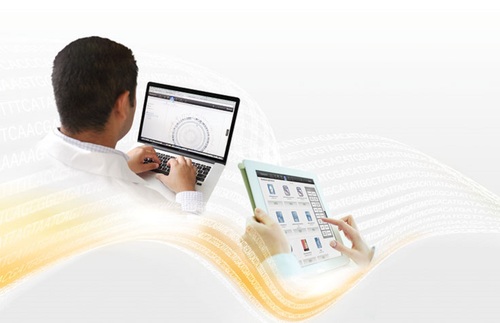 Rectified Spiaflatoxin Analysis By Hplc, Tlc Methodrit