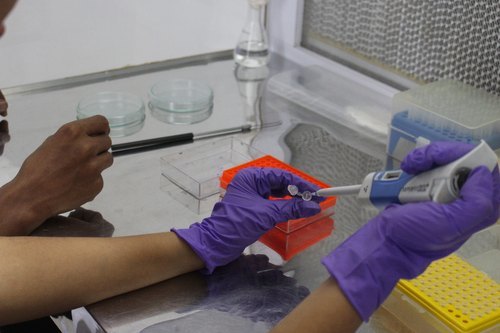 Industrial Chemical Testing Service