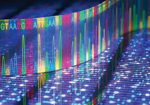 DNA viral genome sequencing and analysis