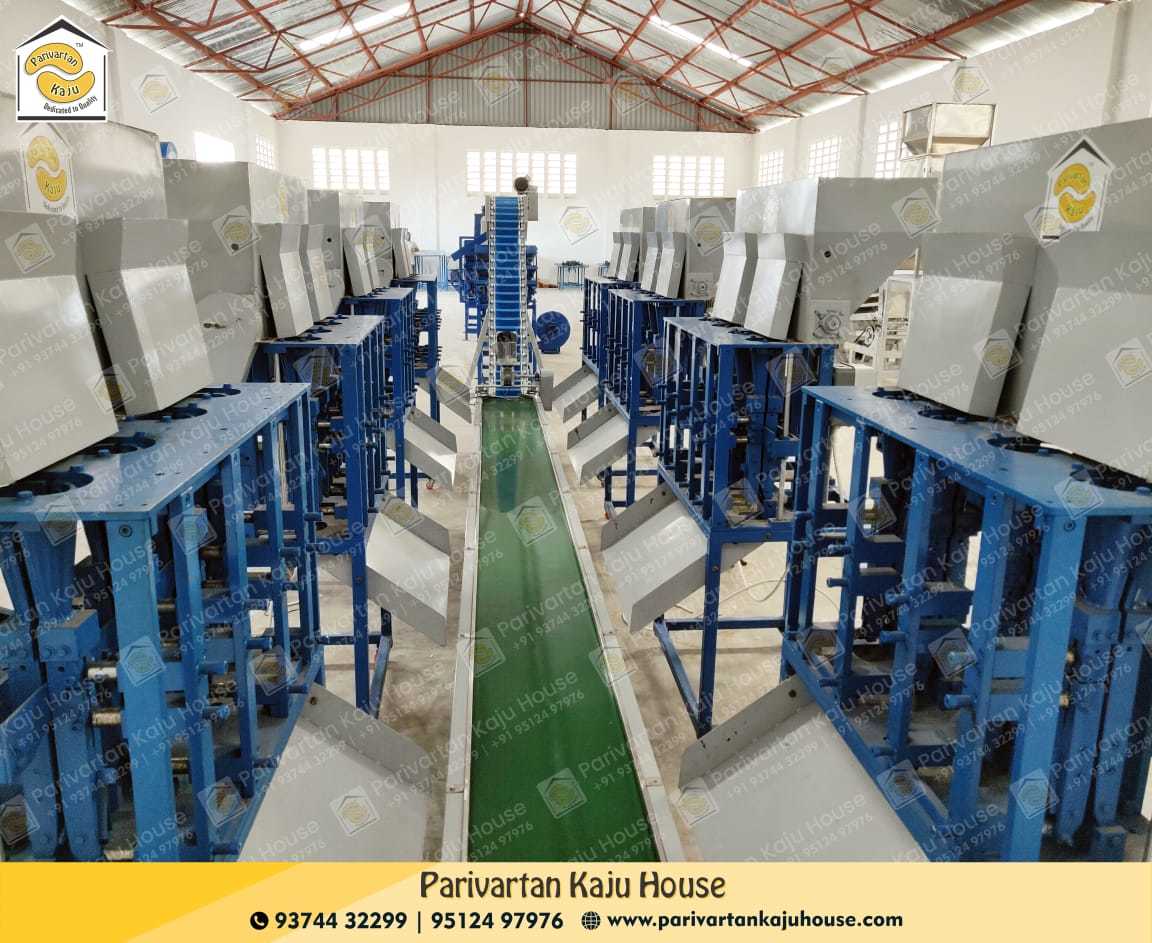 Cashew Cutting Machine - Capacity: 25-30 Kg/hour Kg