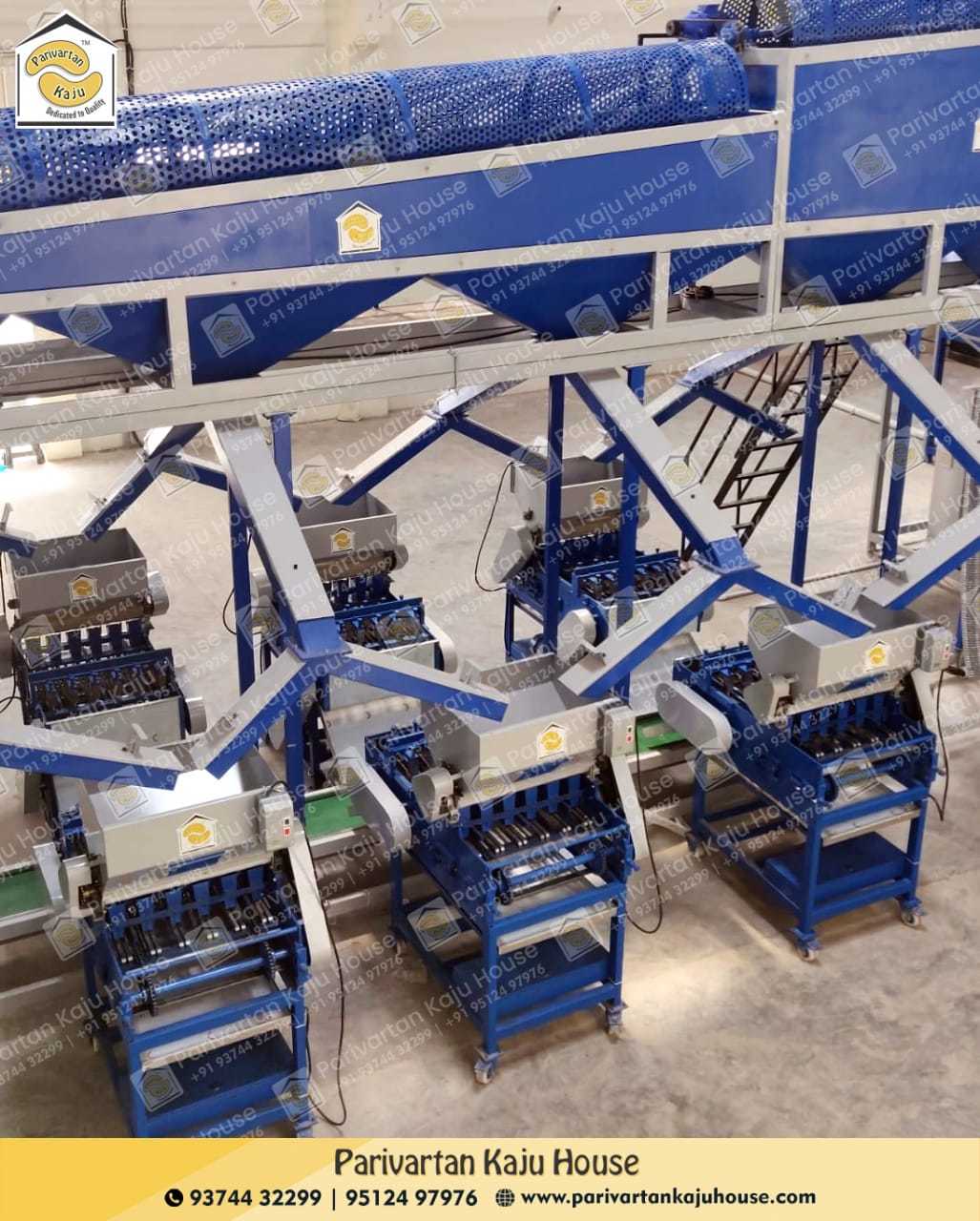Automatic Raw Cashew Cutter - Capacity: 800-1000 Kg/8 Hr Kg/hr