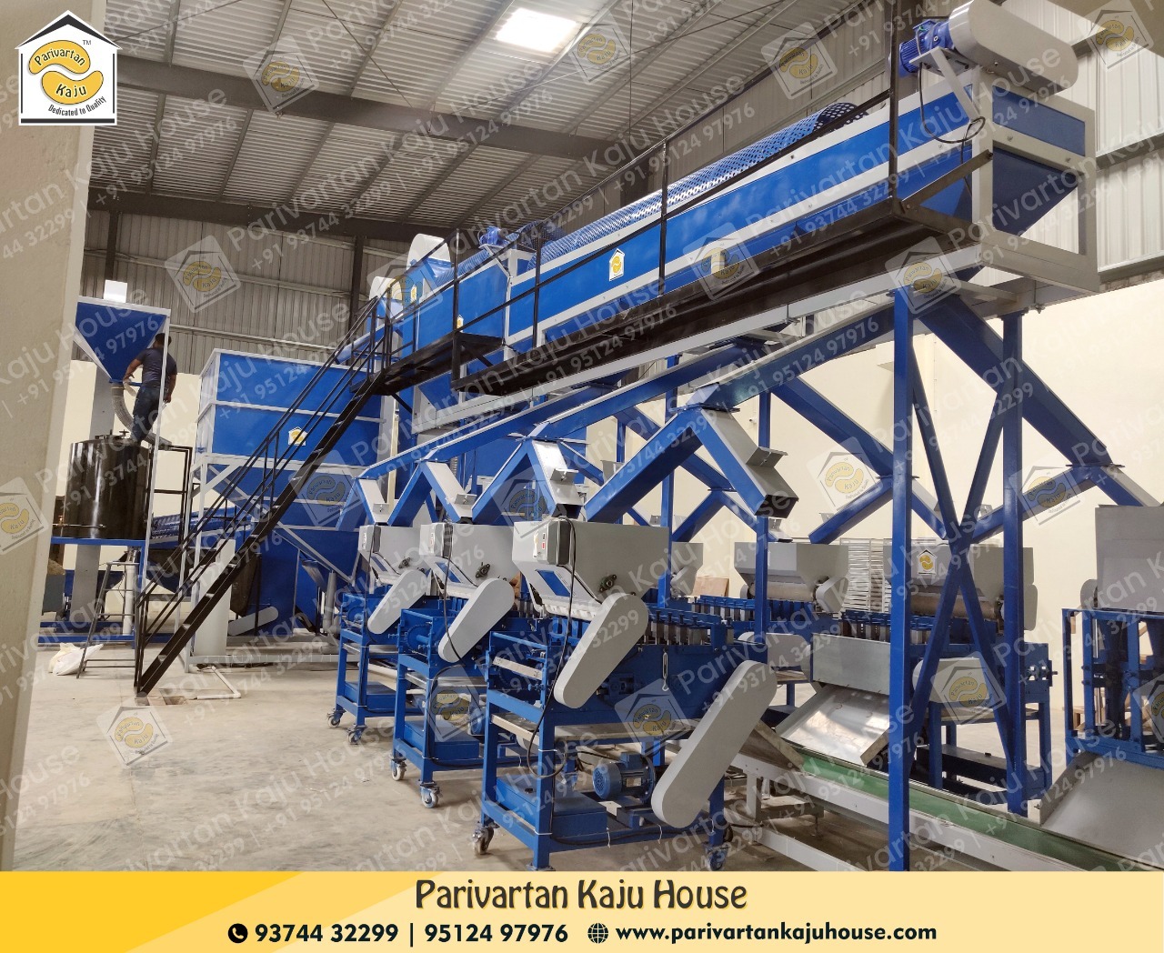 Automatic Raw Cashew Cutter - Capacity: 800-1000 Kg/8 Hr Kg/hr