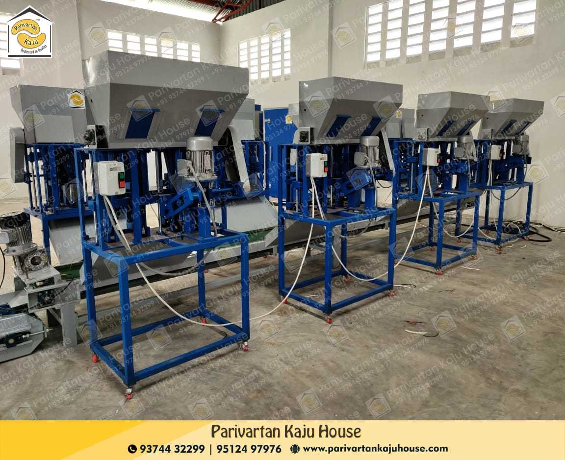 Automatic Kaju Shelling Machine