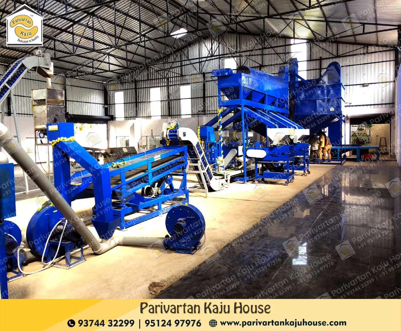 Cashew Scooping Line - Automatic Operation | High Efficiency, Consistent Performance, User-friendly Controls