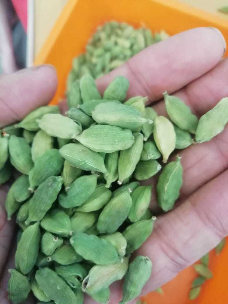 Green Cardamom Grade: All Grades Availavle