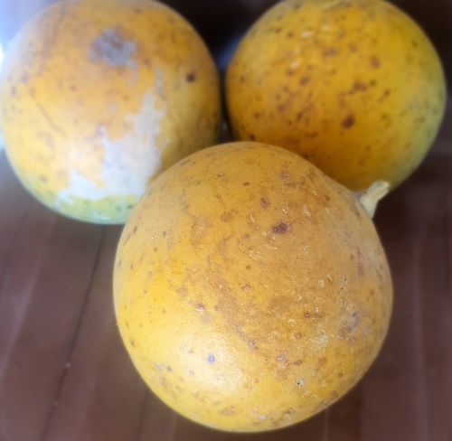 Aegle Marmelos Age Group: For Adults