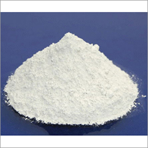 Bifidobacterium Longum (B. Longum) Probiotic - Physical Form: Powder