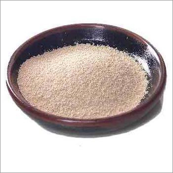 Instant Dry Yeast - Powder Form, Vacuum Pack for Pharma, Nutra and Cosmetic Applications