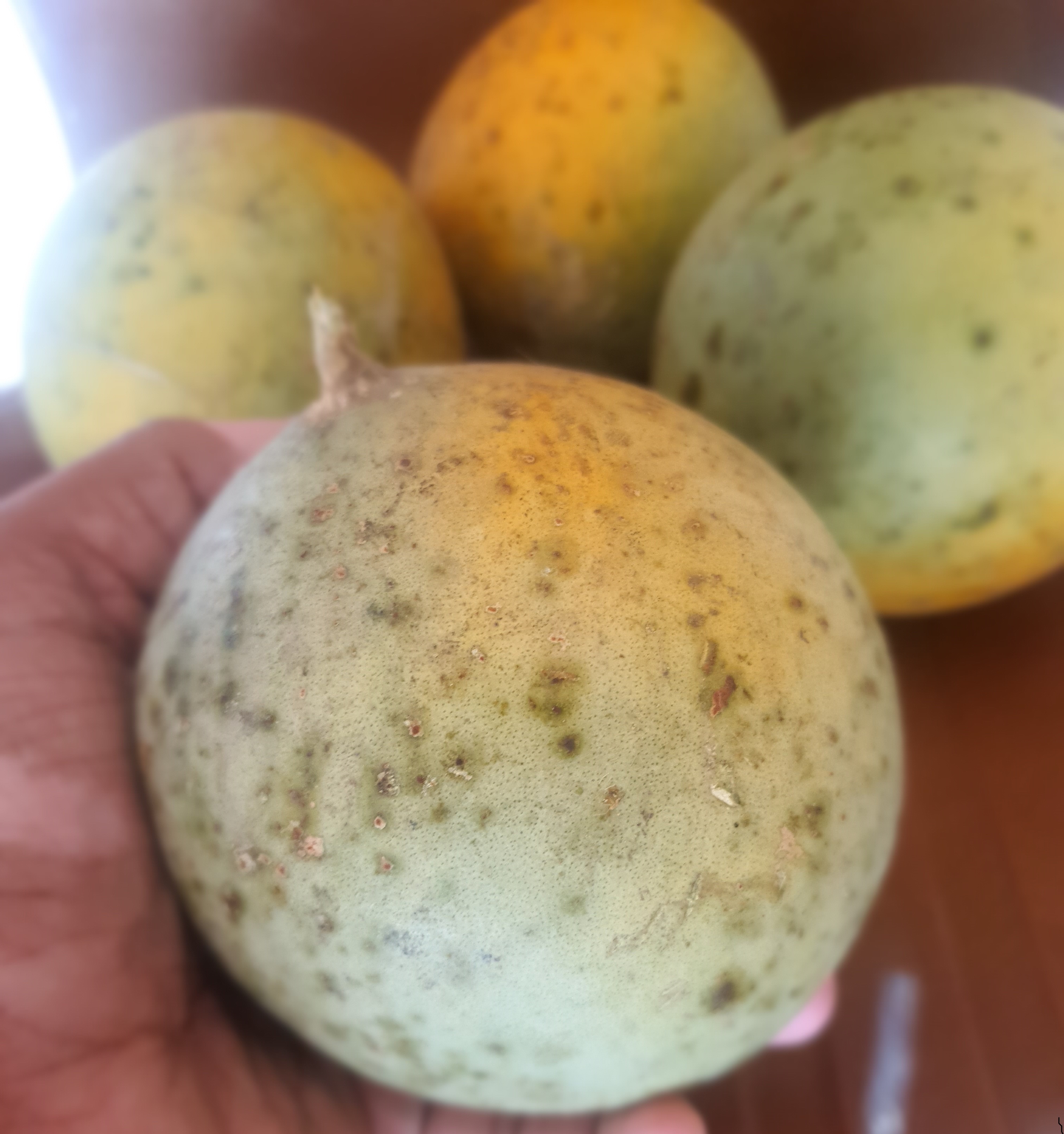 Aegle Marmelos Age Group: For Adults