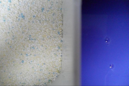 Detergent Enzyme - Application: Industrial