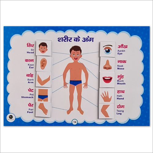 Multicolor Hindi Learning Kit