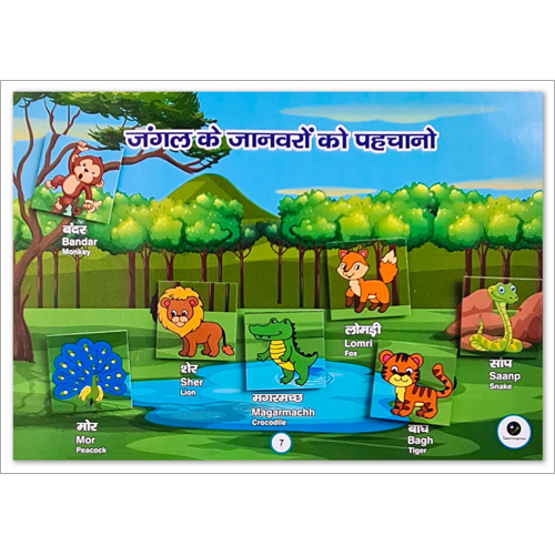 Multicolor Hindi Learning Kit