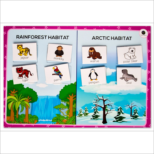 Comprehensive English Kit - Cardboard, Rectangular Shape | Multicolor Educational Tool For Children