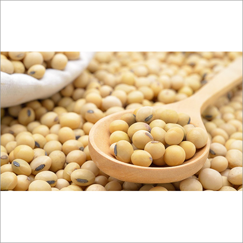 Soya Beans