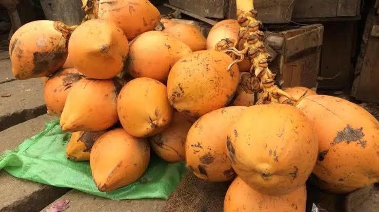 Orange Cococnut, A Grade And B Grade