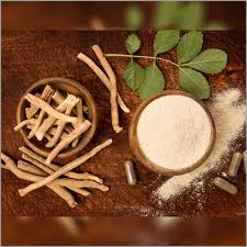 Dry Herbal Shatavari Root