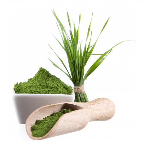 प्राकृतिक गेहूं घास पाउडर