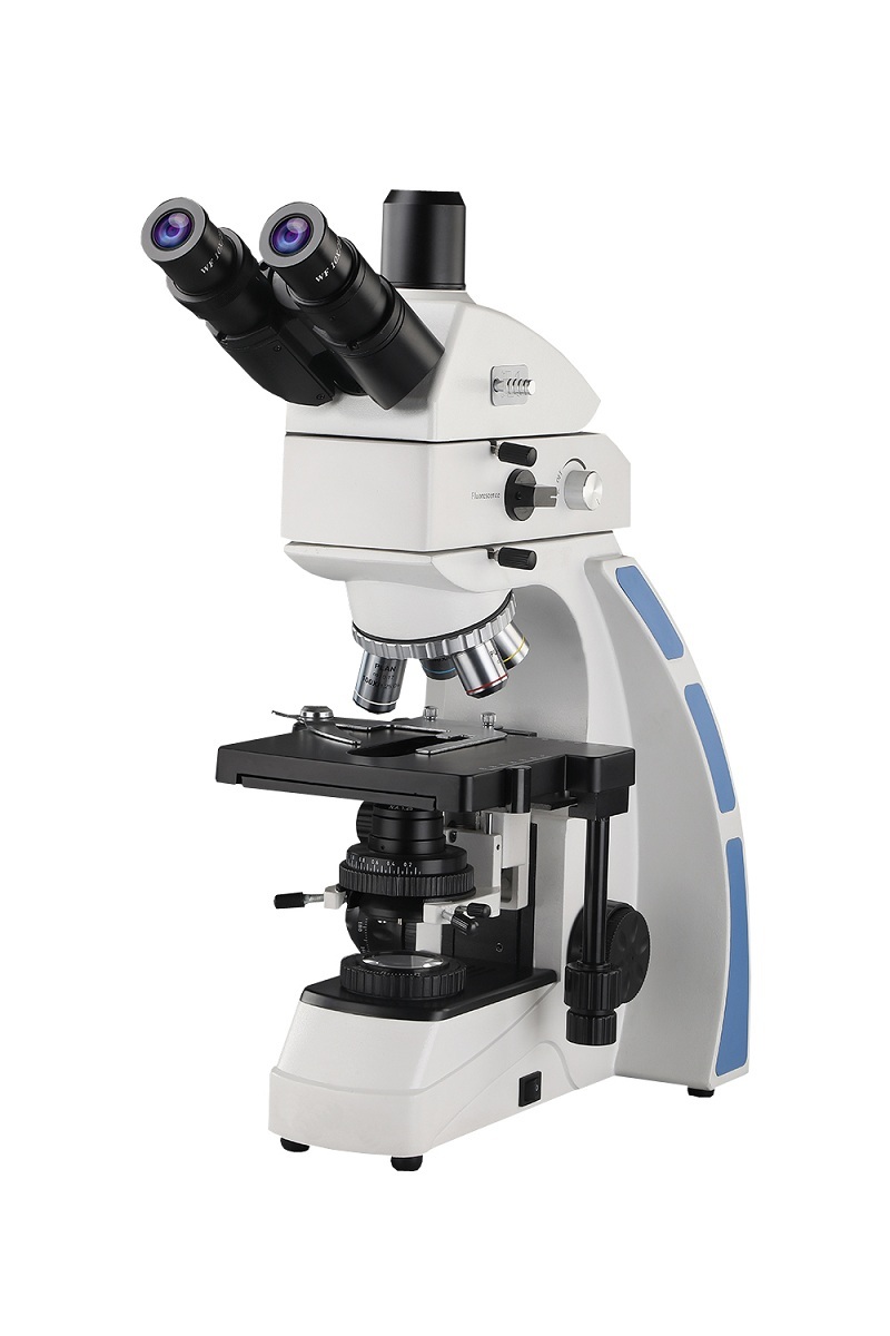 Fluorescence Microscope