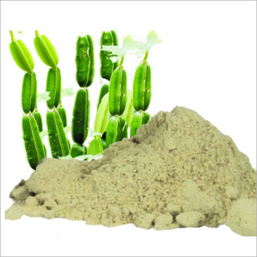 Hadjod Cissus Quadrangularis Extract Purity(%): High