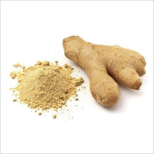 Ginger Extract - Dried Powder, Light Brown Color, 100% Purity, Shelf Life 12 Months | Organic Kreation Brand, High-Quality Ginger Variety