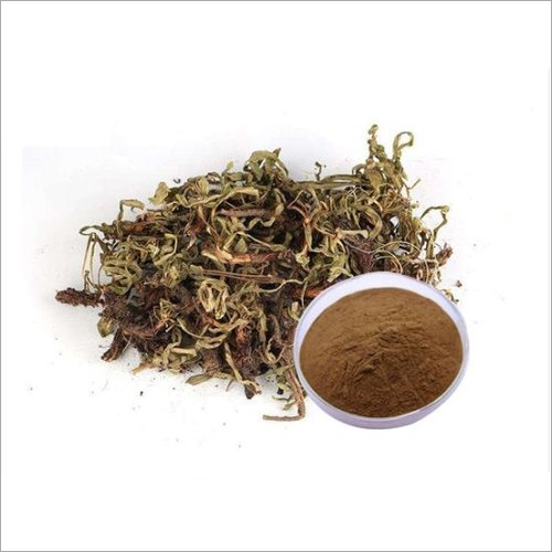 Spikenard Muskroot Powder - 100% Pure, Brown Color, High Quality, 12 Months Shelf Life | Organic Kreation