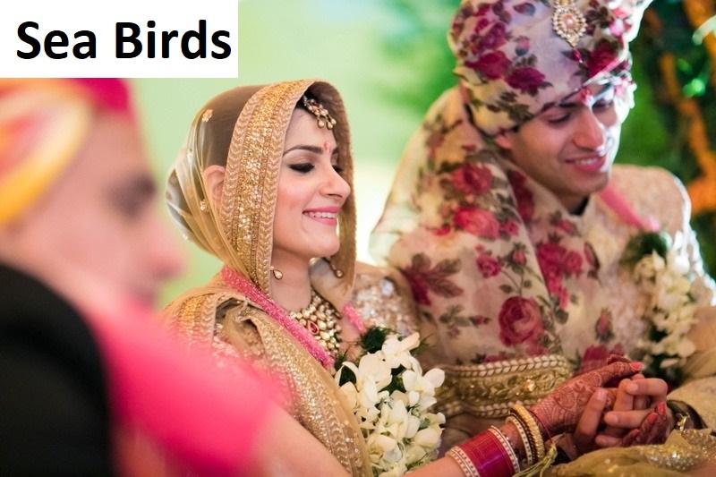 Digital Print Safa - Polyester, 30 Inch Width, Multi-color, 7-8 Mtr Length | Traditional Wedding Fabric, Printed Texture