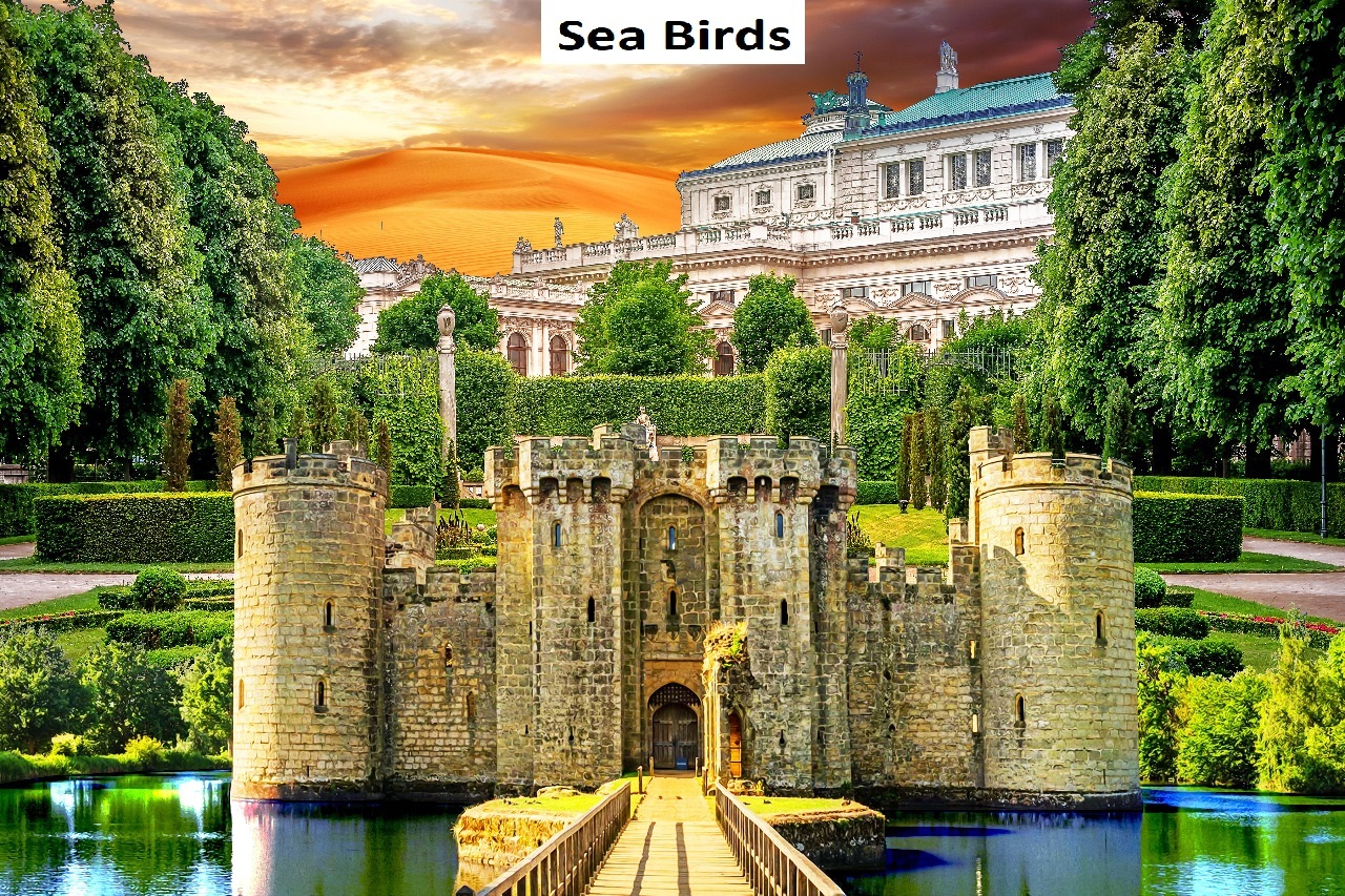 Tent 3d Print Fabric - Multi-color Polyester, Size Options 5x10 To 20x25 Feet, 58 Inch Width, 3d Digital Print Design For Ceiling & Side Walls