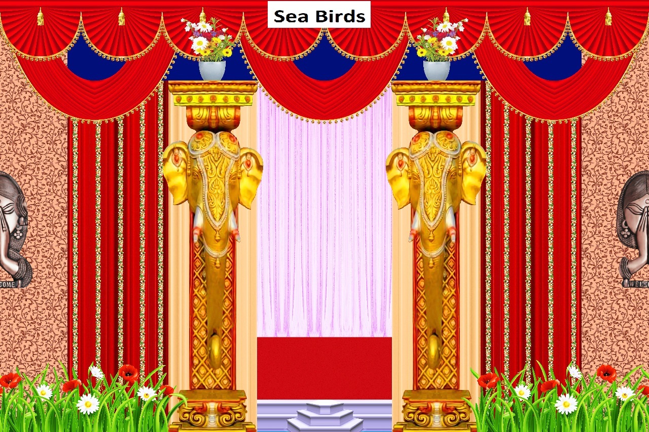 Tent 3d Print Fabric - Multi-color Polyester, Size Options 5x10 To 20x25 Feet, 58 Inch Width, 3d Digital Print Design For Ceiling & Side Walls