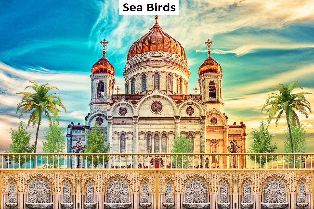 Tent 3d Print Fabric - Multi-color Polyester, Size Options 5x10 To 20x25 Feet, 58 Inch Width, 3d Digital Print Design For Ceiling & Side Walls