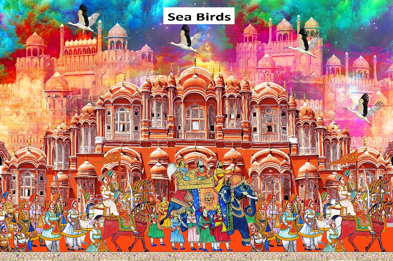Lycra 3d Print Fabric - Polyster, Multi Color, 58 Width | Printed Texture For Ceiling & Side Wall Use In Mandap, Various Sizes Available