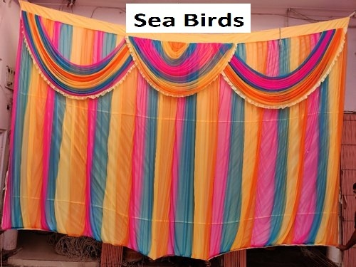 Side Wall Tent Fabric - Multi Color 3d Digital Print On Polyester, Sizes Available: 5x10, 10x15, 15x04, 20x25, 58 Inch Width