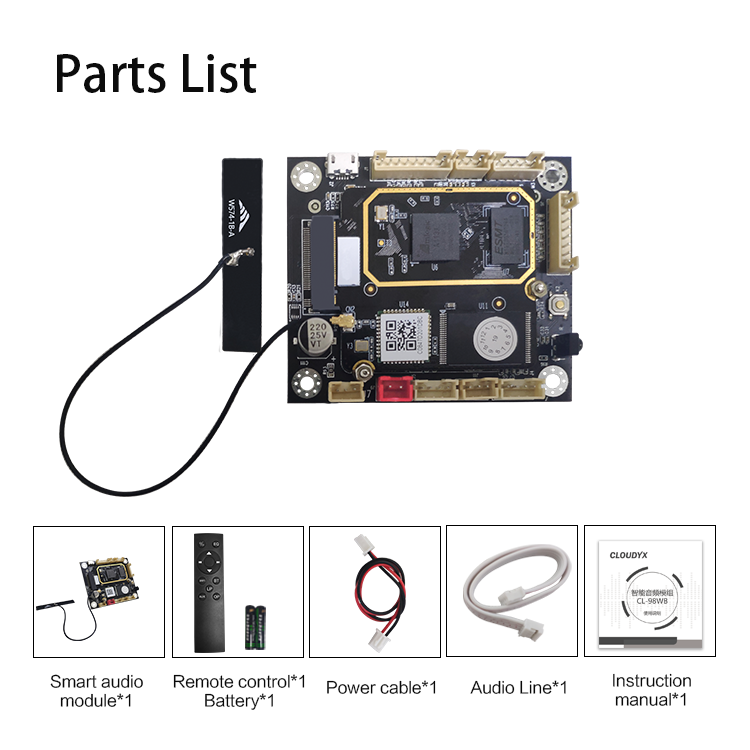 Audio Receiver Module Oem/odm Wire/wireless