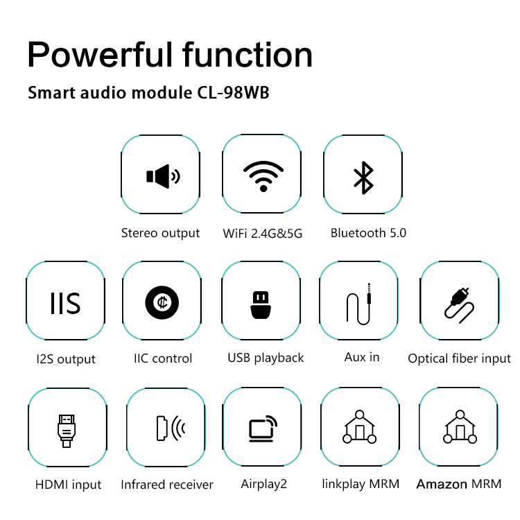 Audio Receiver Module Oem/odm Wire/wireless