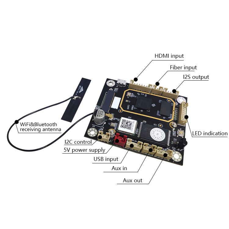 Audio Receiver Module Oem/odm Wire/wireless
